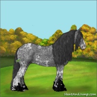 Horse Color:Black Ice Sabino