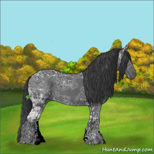 Horse Color:Black Ice Sabino