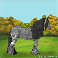 Horse Color:Black Ice Sabino