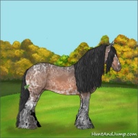Horse Color:Brown Ice Sabino 