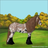 Horse Color:Chestnut Ice Sabino