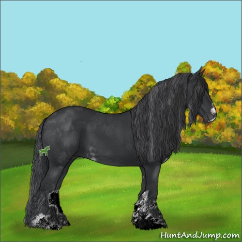 Horse Color:Black Sabino 