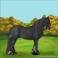 Horse Color:Black Sabino