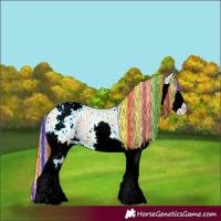 Horse Color:Painted Chestnut Ice Sabino Splash Appaloosa 