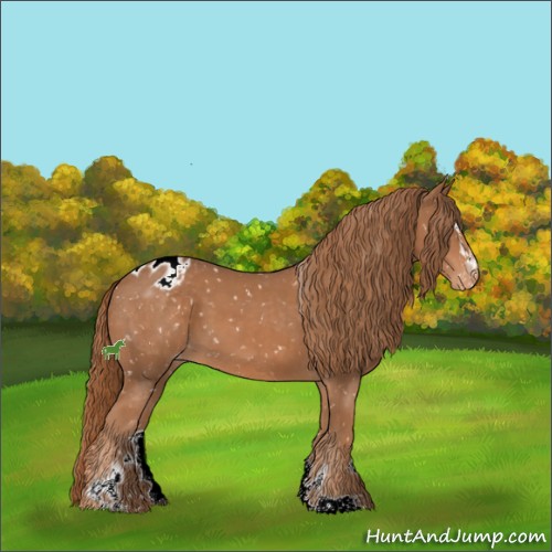 Horse Color:Chestnut Sabino Appaloosa