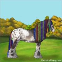 Horse Color:Painted Blue Onyx Ice Appaloosa 