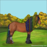Horse Color:Painted Bay 