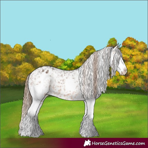 Horse Color:Bay Sabino Splash Snowflake Varnish 