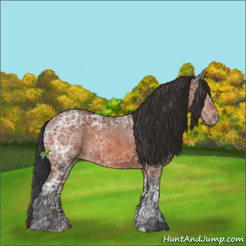 Horse Color:Bay Ice Sabino