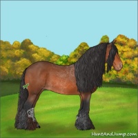 Horse Color:Bay Sabino Varnish 