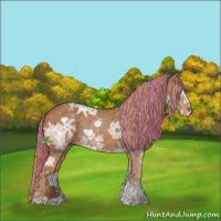 Horse Color:Painted Chestnut Ice