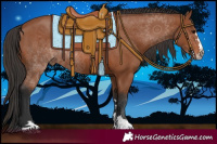 Horse Color:Bay Rabicano 