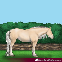 Horse Color:Silver Smoky Black Pearl 