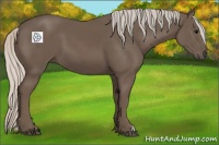 Horse Color:Silver Black 