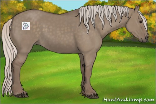 Horse Color:Silver Grullo 