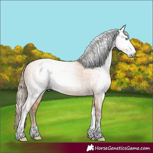 Horse Color:Gray Perlino Tobiano 