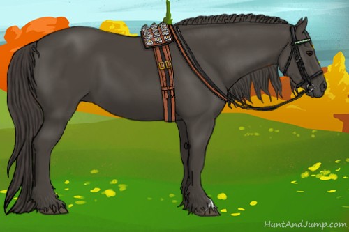 Horse Color:Smoky Black 