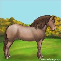 Horse Color:Brown Pearl 