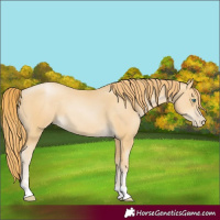 Horse Color:Smoky Black Pearl 