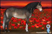 Horse Color:Gray Brown Dun Mushroom