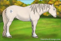 Horse Color:Perlino Tobiano 