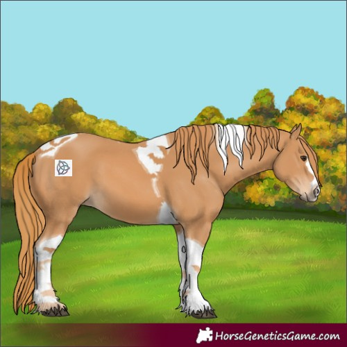 Horse Color:Chestnut Tobiano 