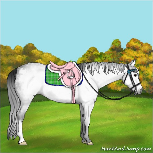 Horse Color:Gray Blue Roan Frame 