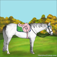 Horse Color:Gray Blue Roan Frame 