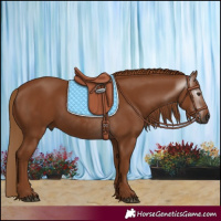 Horse Color:Gray Chestnut 