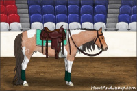 Horse Color:Bay Roan Tobiano