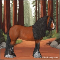 Horse Color:Bay Sabino Rabicano  and Bay Sabino Rabicano 