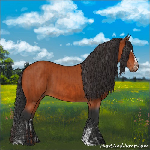 Horse Color:Bay Sabino Rabicano  and Bay Sabino 