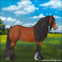 Horse Color:Bay Sabino Rabicano  and Bay Sabino 
