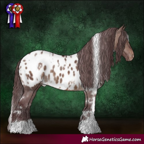 Horse Color:White Spotted Chocolate Brown Dun Near Leopard 