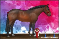 Horse Color:Brown 