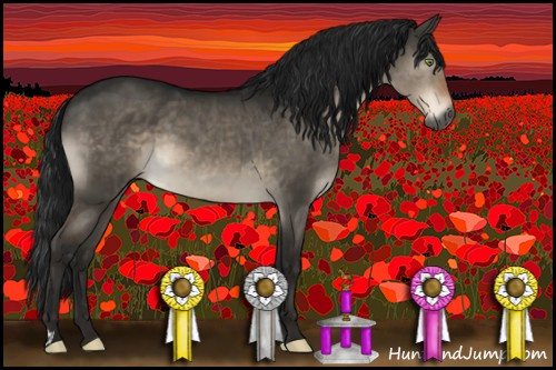 Horse Color:Gray Brown Dun Mushroom Brindle 