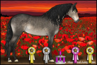 Horse Color:Gray Brown Dun Mushroom Brindle 