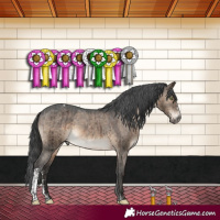 Horse Color:Gray Brown Dun Mushroom Sabino Appaloosa Brindle