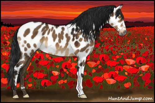 Horse Color:Gray Brown Dun Leopard 
