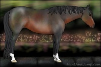 Horse Color:Brown 