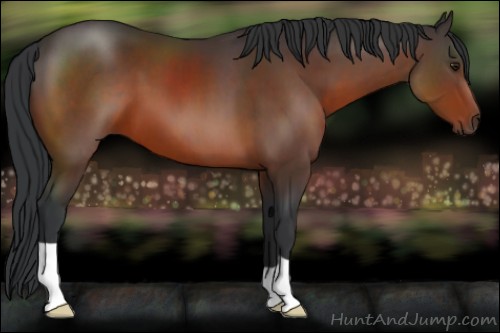 Horse Color:Brown 