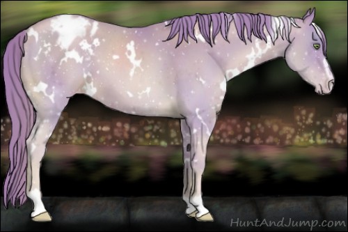 Horse Color:Watercolor White Spotted Gold Champagne Sabino Appaloosa