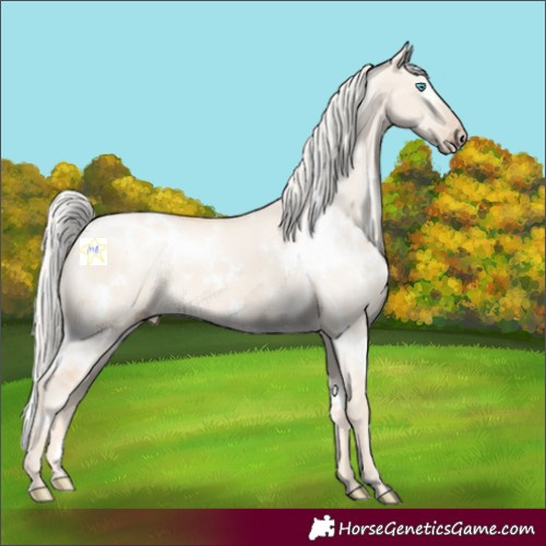 Horse Color:White Spotted Cremello Dun 