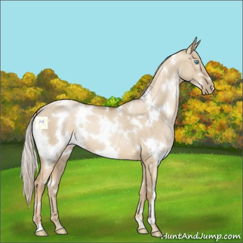 Horse Color:White Spotted Chocolate Palomino Pearl Dun 