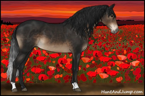 Horse Color:Gray Brown Appaloosa 