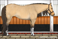 Horse Color:Buckskin Roan Dun Tobiano 
