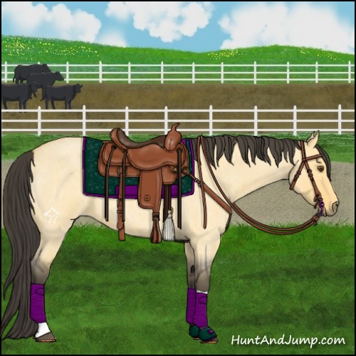 Horse Color:Buckskin Roan Dun Tobiano 