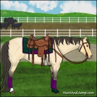 Horse Color:Buckskin Roan Dun Tobiano