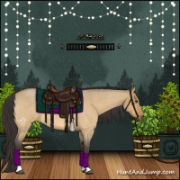 Horse Color:Buckskin Roan Dun Tobiano