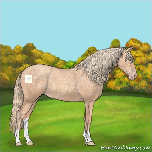 Horse Color:Gold Champagne Ice 